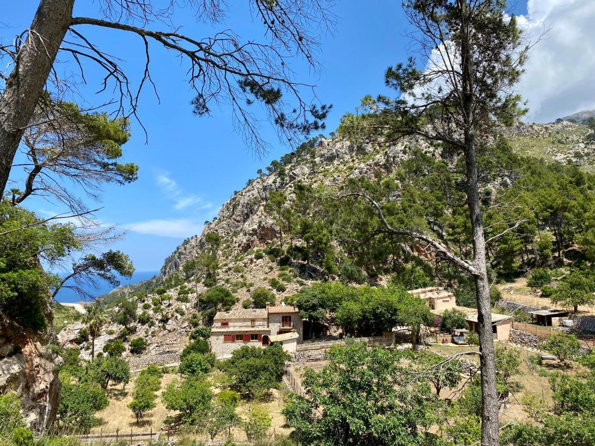 Finca Ses Fontanelles อานดราตส์ ภายนอก รูปภาพ