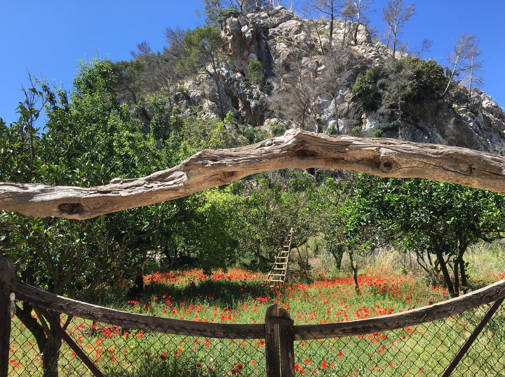 Finca Ses Fontanelles อานดราตส์ ภายนอก รูปภาพ